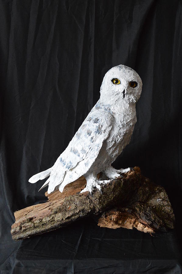 Snowy Owl Sculpture By Renee Erickson Fine Art America