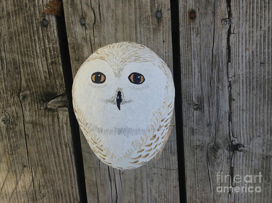Snowy Owl Rock Painting by Monika Shepherdson