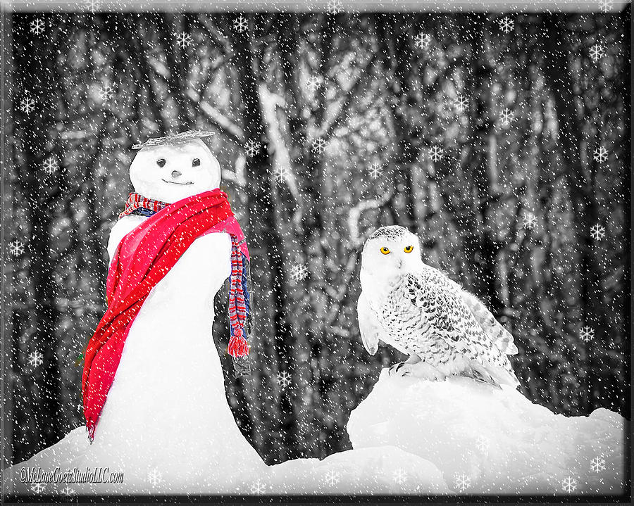 Snowy Owl Snowman Photograph by LeeAnn McLaneGoetz McLaneGoetzStudioLLCcom