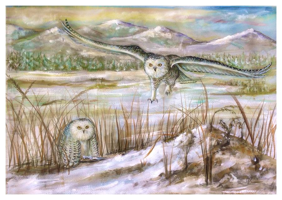 Snowy owls Mixed Media by Katerina Kovatcheva