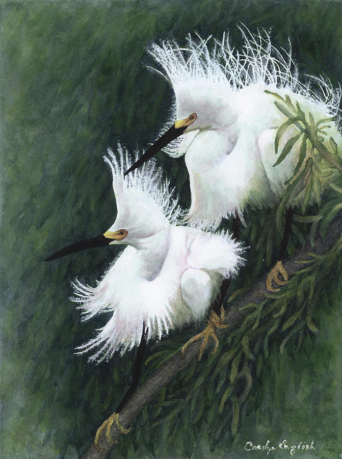 Egret Painting - Snowy Pair by Carolyn English