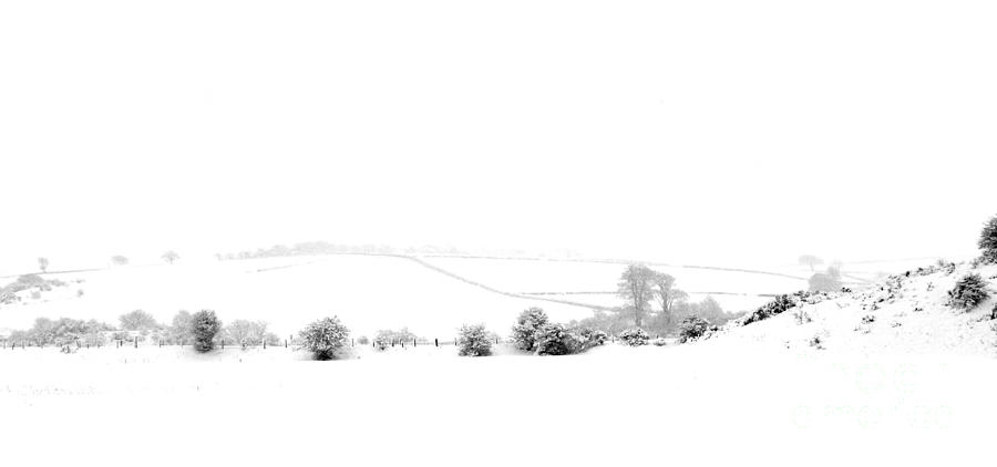 Snowy panorama Photograph by Liz Leyden