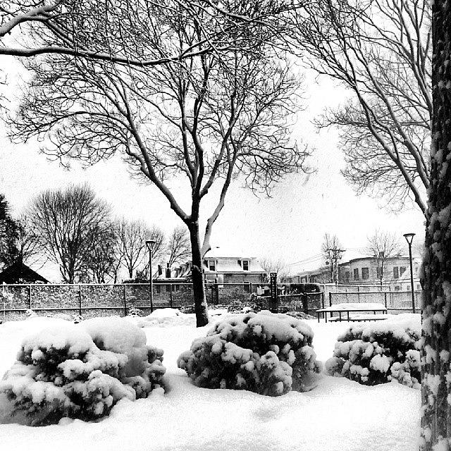 Cambridge Photograph - Snowy Park In My Hood #cambridge by James Hamilton