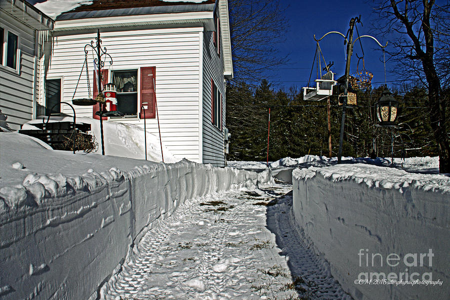 Snowy Path Photograph