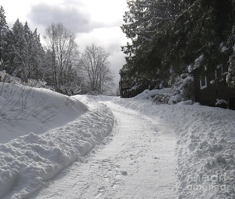 Snowy Path Photograph by Leone Lund