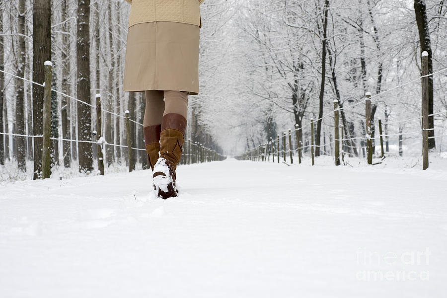 Snowy path Photograph by Mats Silvan