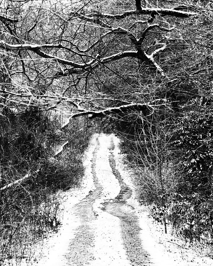 Snowy Path by Val Stone Creager Snowy Path by Val Stone Creager