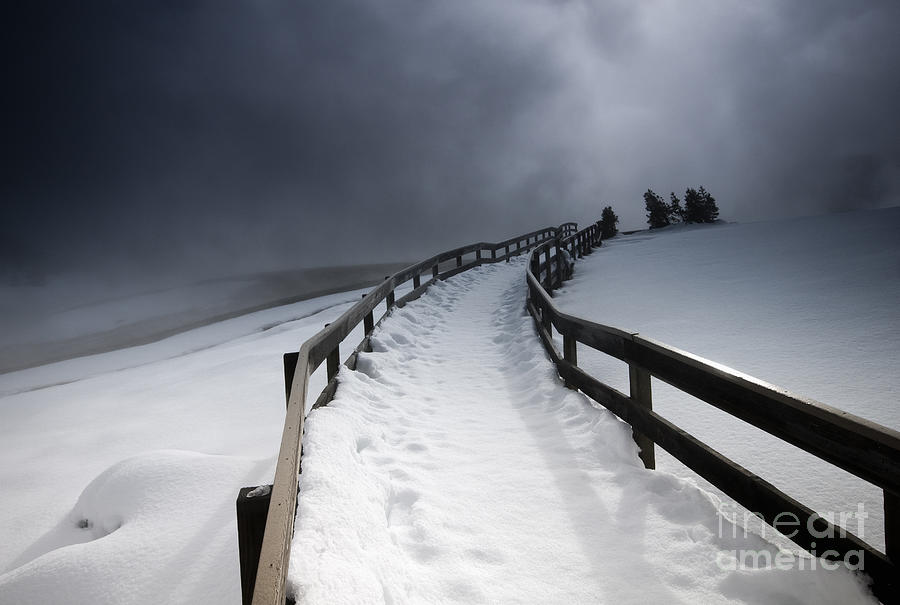 Snowy Pathway Photograph by David Lichtneker