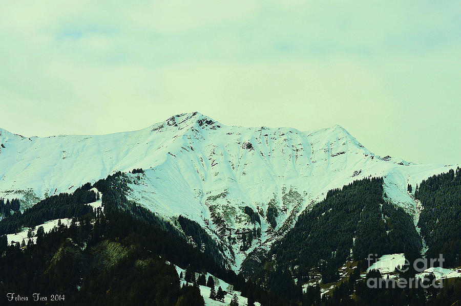 Snowy Peak Photograph by Felicia Tica