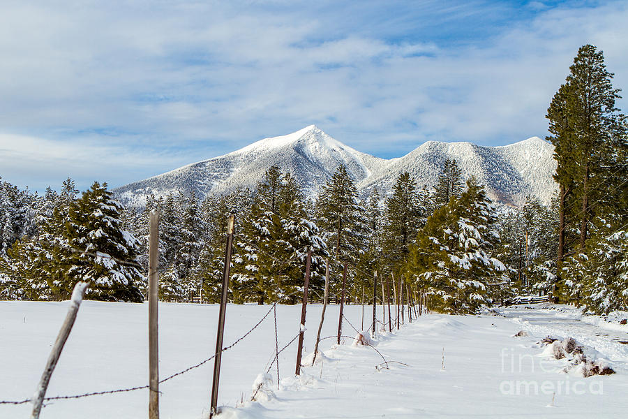 Snowy Peak Photograph by Nicholas  Pappagallo Jr
