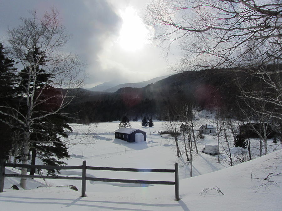 Snow Photograph - Winter Light by Deborah Flusberg Snow Photograph - Winter Light by Deborah Flusberg