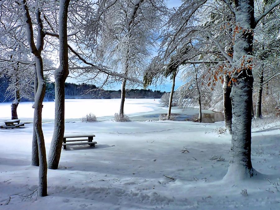 Winter Photograph - Snowy Picnic Grounds by Janice Drew