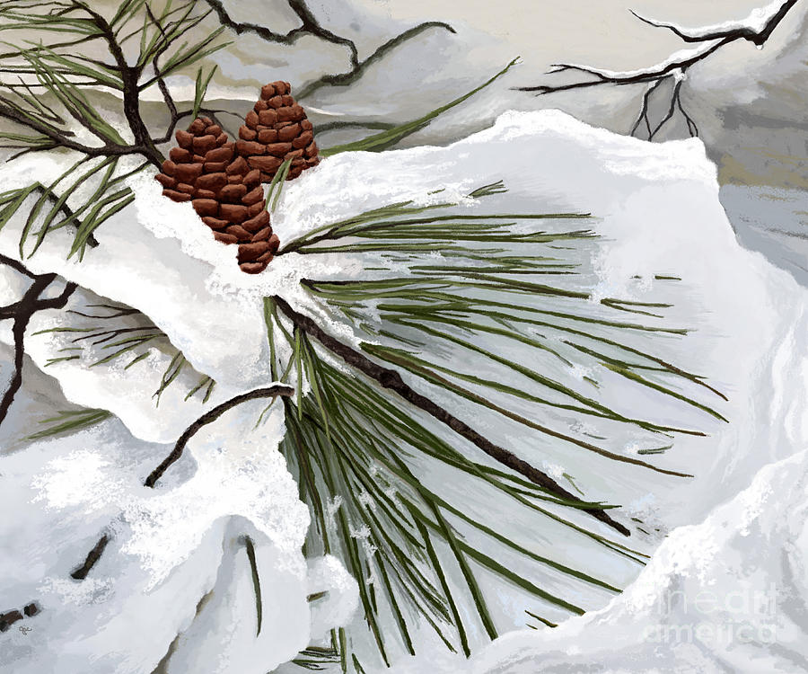 Snowy Pine  Painting by Jackie Case