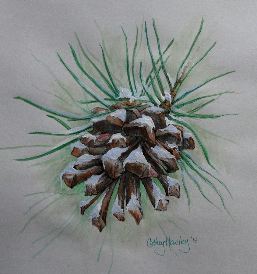 Snowy Pinecone Painting by Catherine Howley