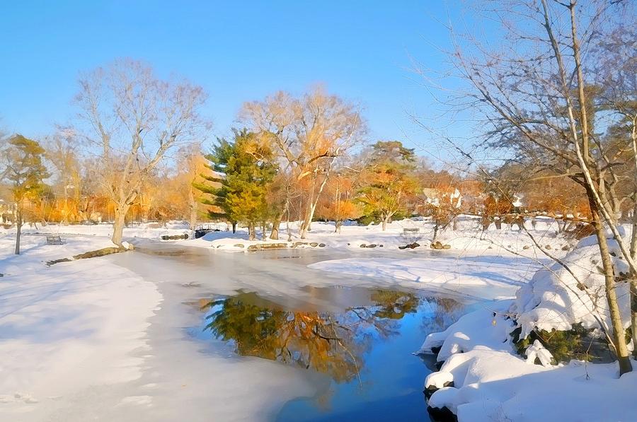 Snowy Pond Photograph by Diana Angstadt