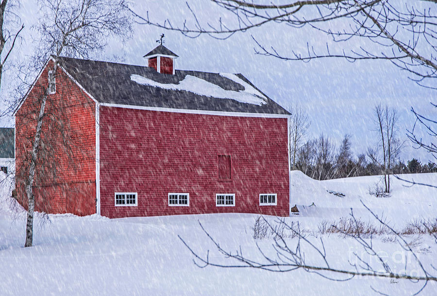 Snowy Red Barn Photograph by Alana Ranney