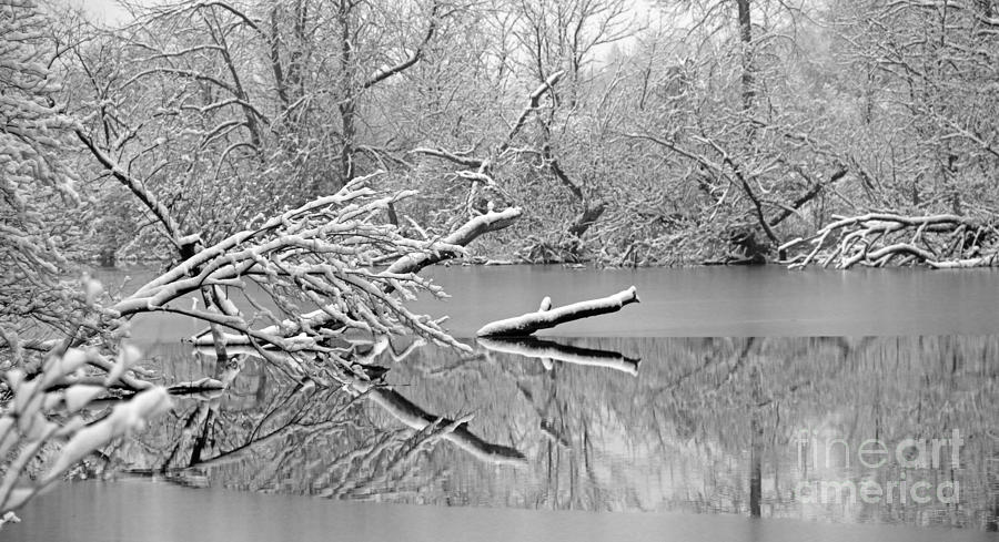 Snowy Reflections 5302 Photograph by Jack Schultz