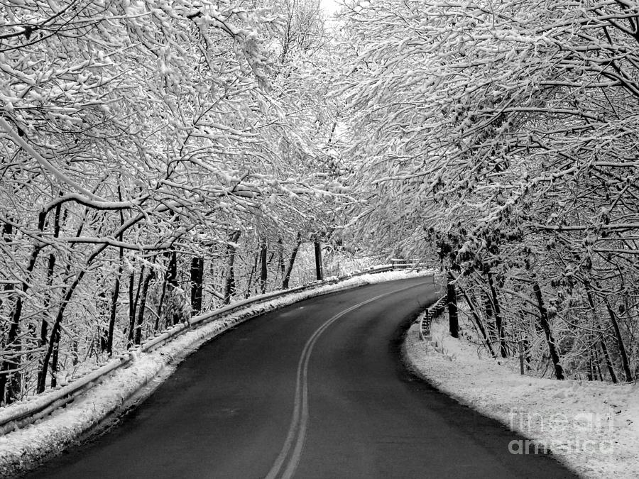 Snowy Ride Photograph by Jayne Carney
