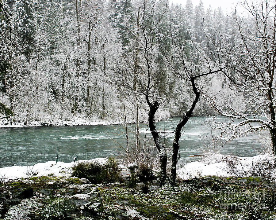Snowy River and Bank Photograph by Belinda Greb