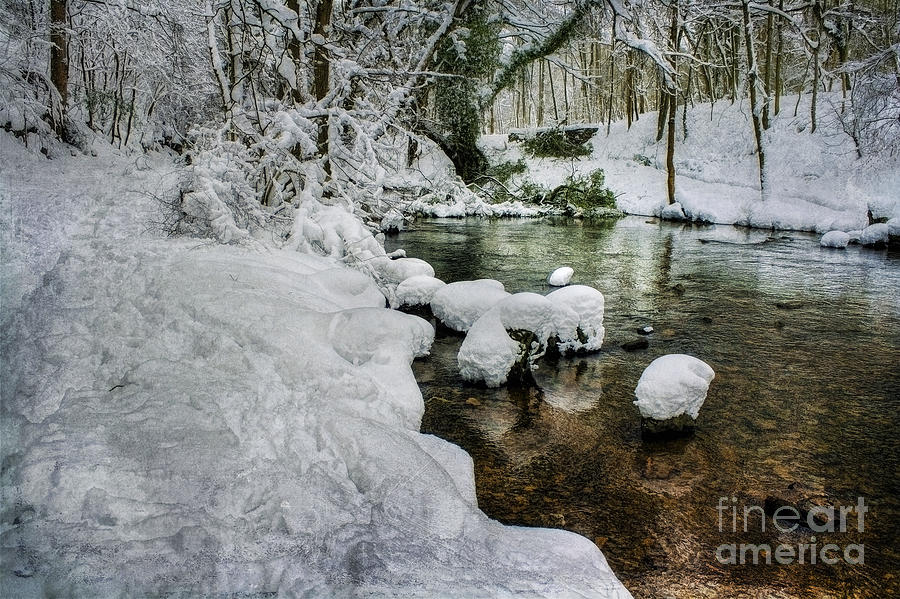 Nature Photograph - Snowy River Bank by Ian Mitchell