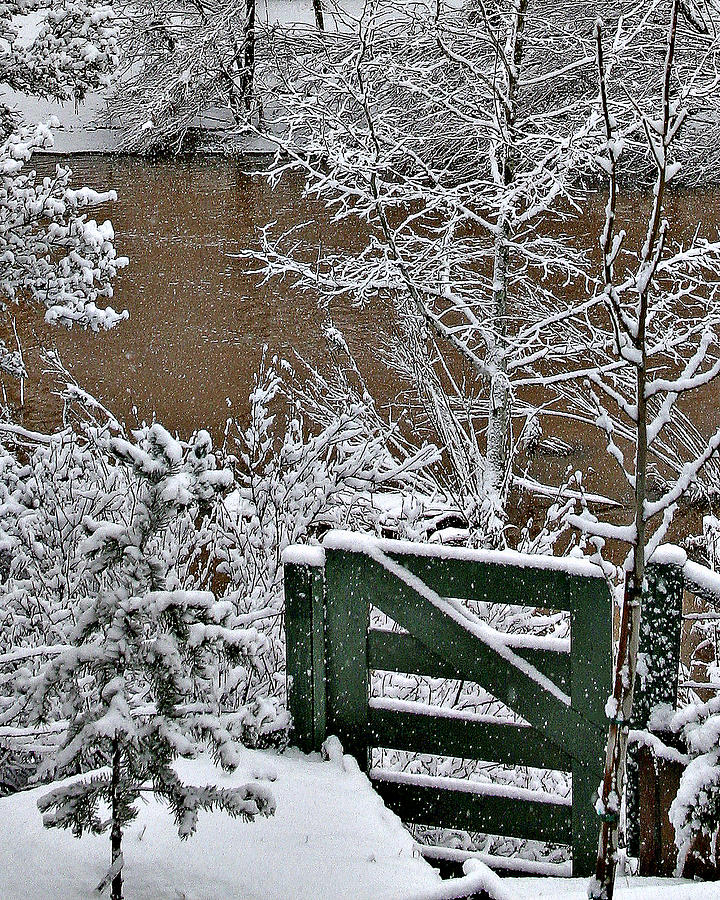 Snowy River Gate Photograph by Matalyn Gardner