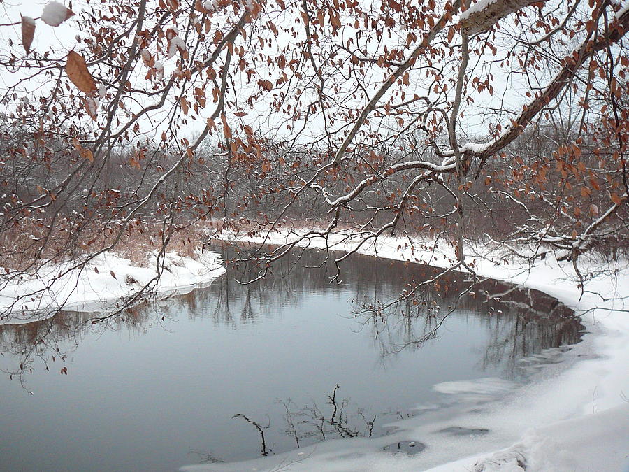Snowy River Photograph