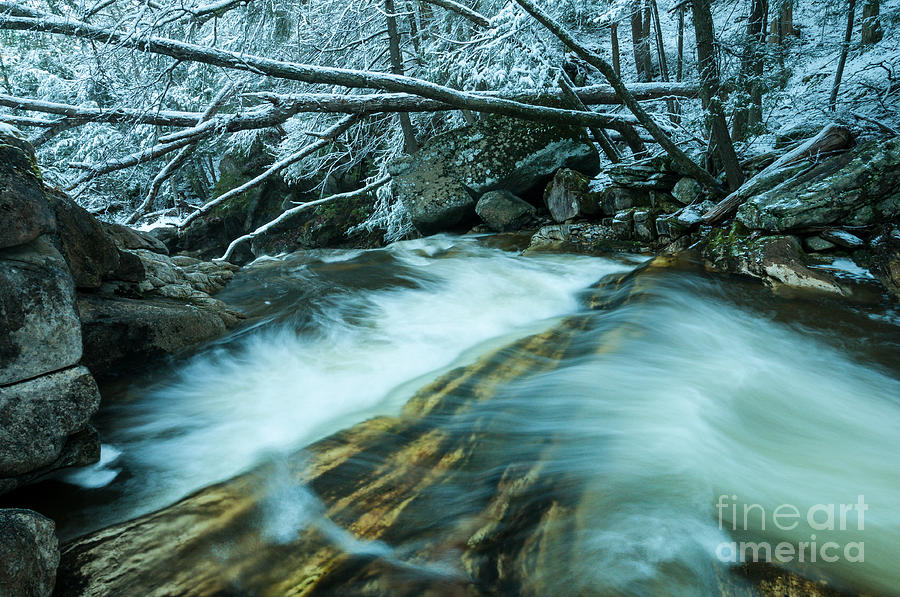 Spring Photograph - Snowy River - Last Throes of Winter by JG Coleman