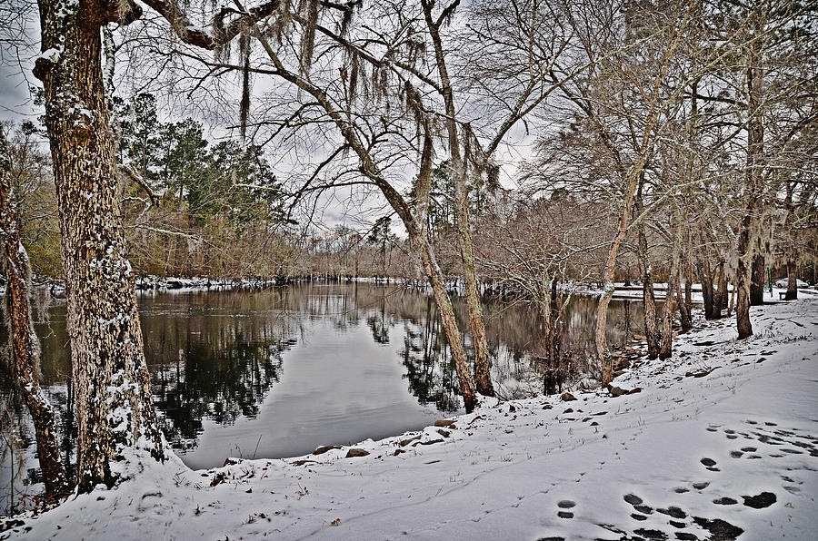 Snowy River Photograph by Linda Brown