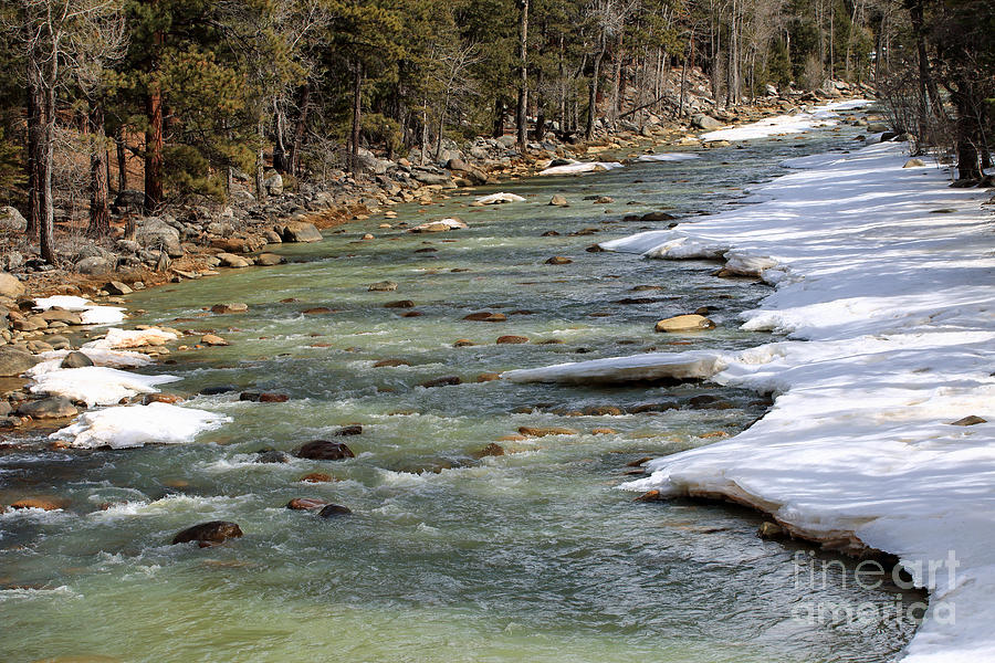 Snowy Riverbank Photograph by Mary Haber