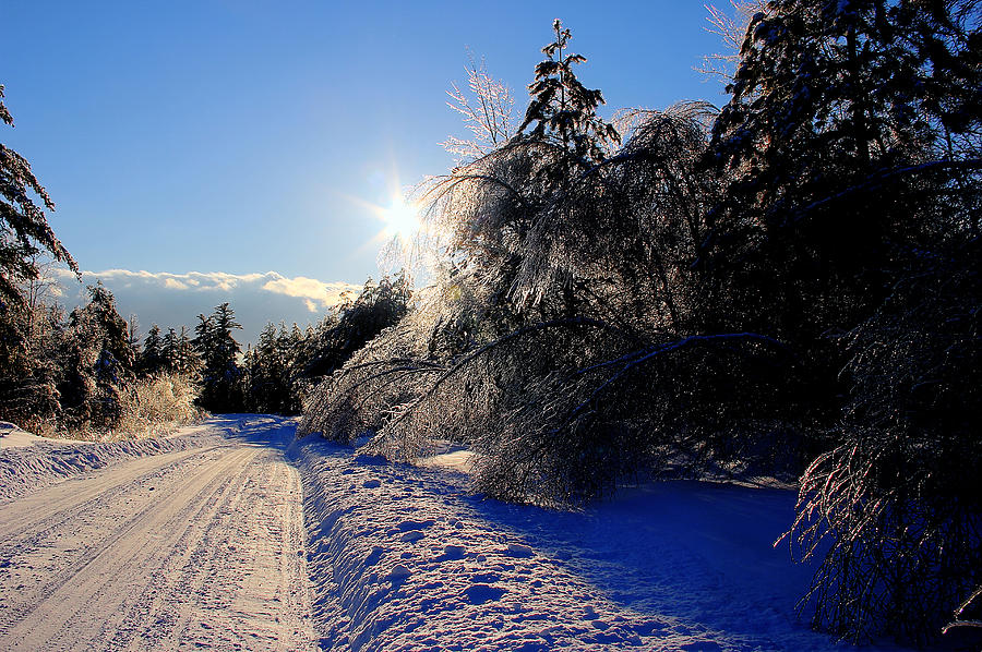 Snow Photograph - Snowy road at Sunkhaze Meadows by Peggy Berger Snow Photograph - Snowy road at Sunkhaze Meadows by Peggy Berger