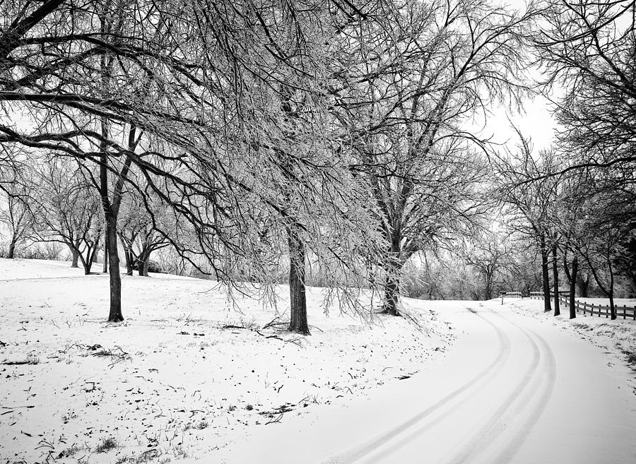 Winter Photograph - Snowy Road by Eric Benjamin