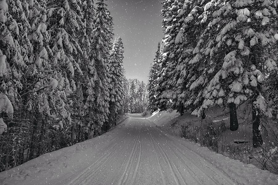 Snowy road in black and white Photograph by Lynn Hopwood