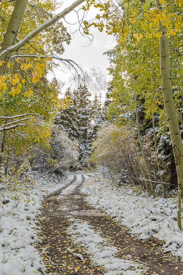 Snowy Road In Fall Photograph