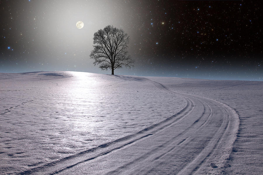 Snowy Road Photograph by Larry Landolfi
