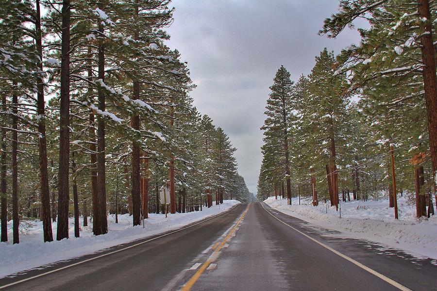 Reno Photograph - Snowy Road by Tony Castle