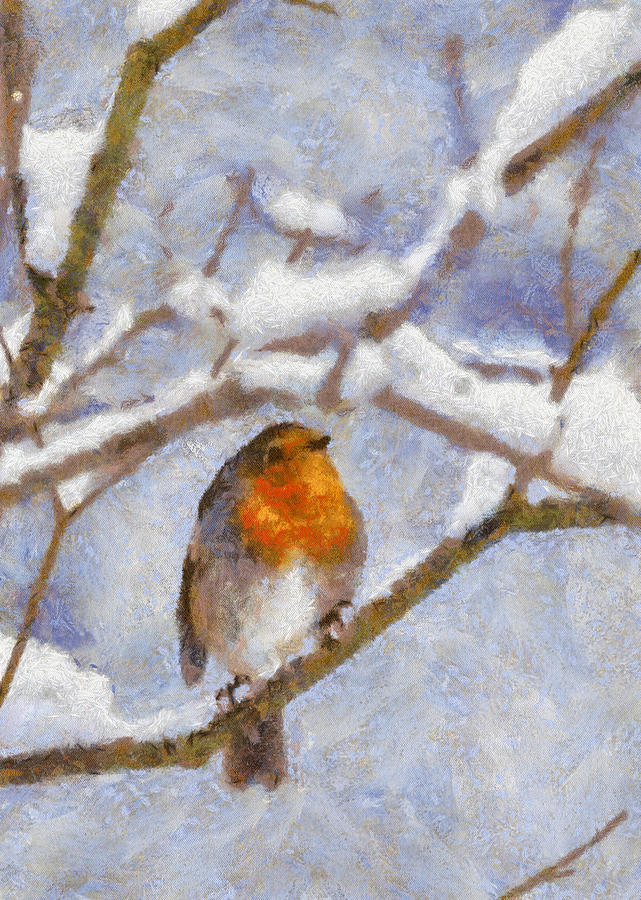 Snowy Robin Digital Art by Charmaine Zoe
