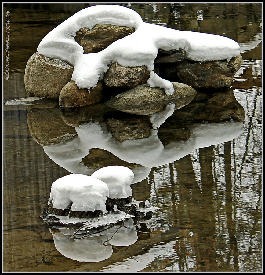 Rocks Photograph - Snowy Rock Reflection by Catherine Melvin