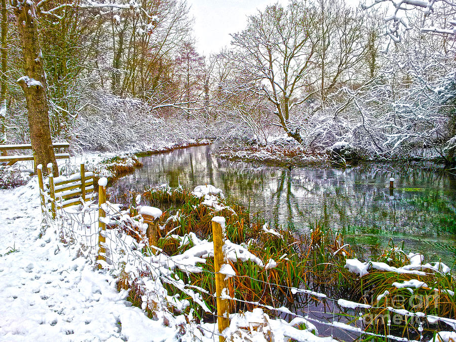 Snowy Rookwood Digital Art by Andrew Middleton