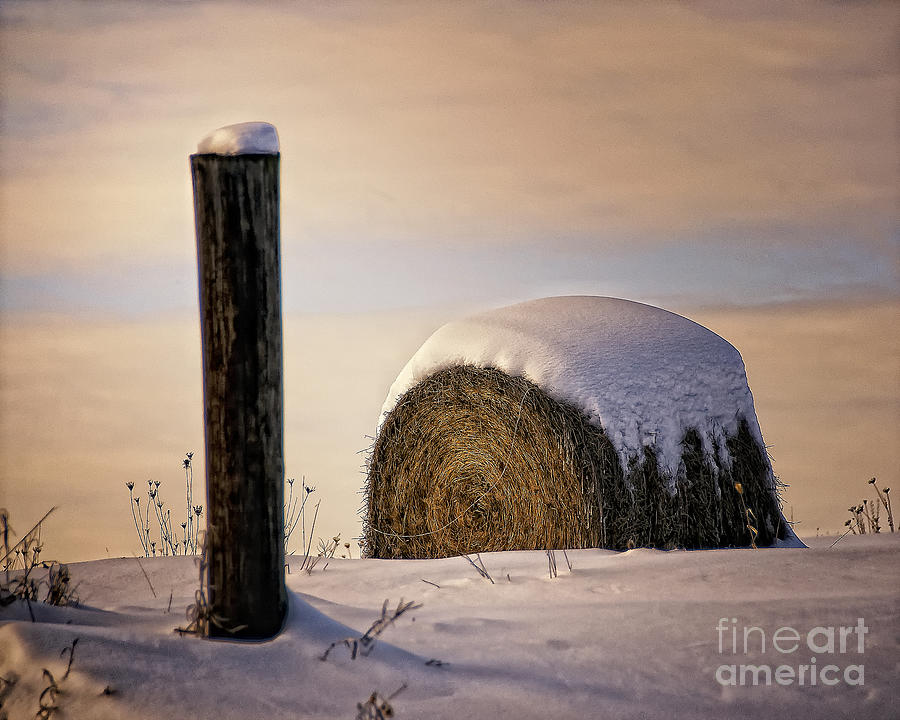 Snow Covered Round Bale Photograph by Timothy Flanigan