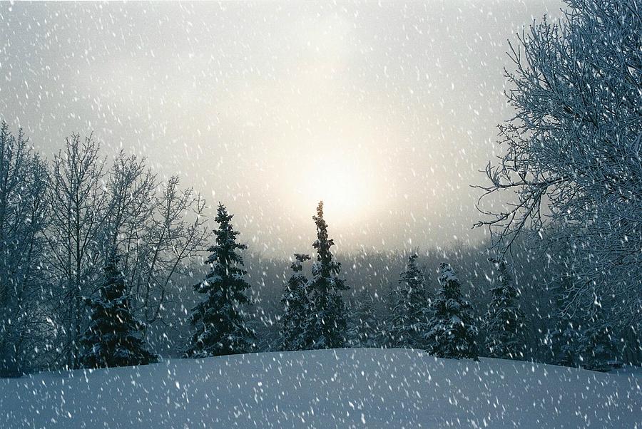 Winter Photograph - Snowy Scene by Shirley Sirois