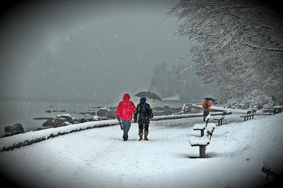 Winter Photograph - Snowy Seawall Walk by Brian Chase