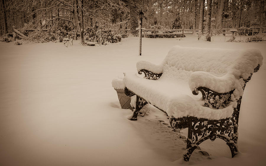 Snowy Sepia Photograph by Glenn DiPaola
