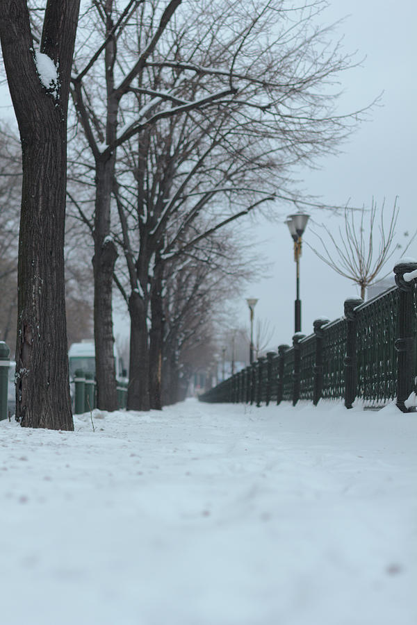 Snowy Sidewalk Photograph by Andrei Spirache