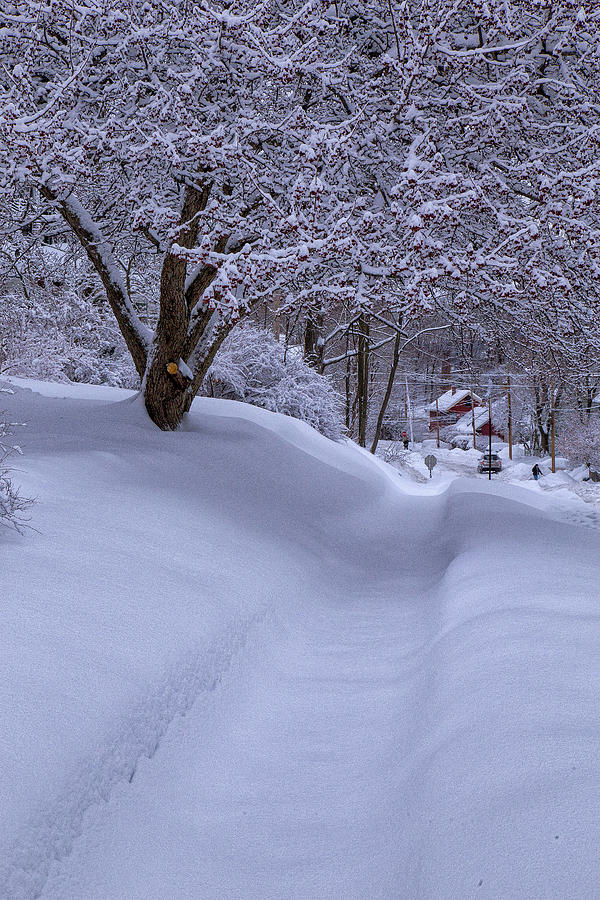 Snowy Sidewalk Photograph by Tom Singleton