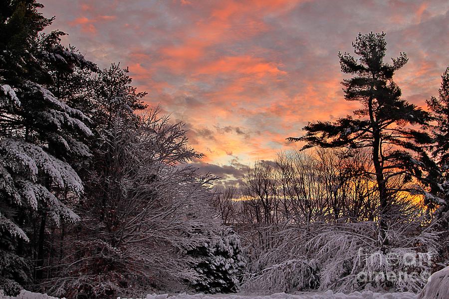 Snowy Sunrise Photograph by Karin Pinkham