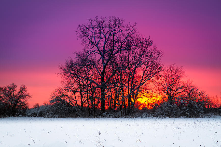 Snowy Sunset Photograph by Ron Pate