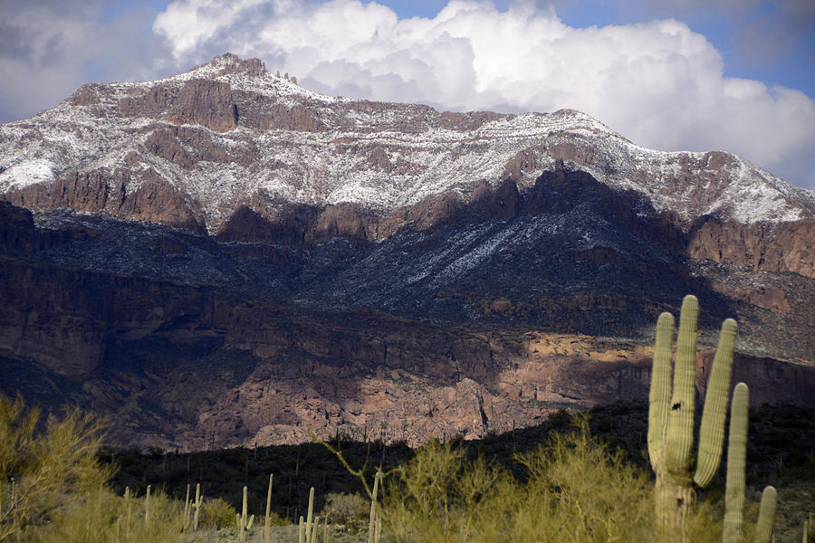 Desert Photograph - Snowy Superstition Mountains February 21 2013 by Brian Lockett
