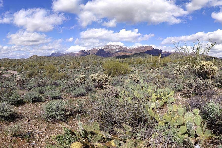 Snowy Superstition Mountains Peralta Road Panorama February 21 2013 Photograph by Brian Lockett