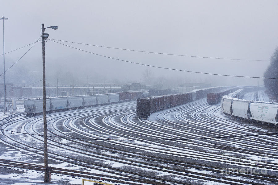 Snowy Tracks Photograph by Jonathan Welch