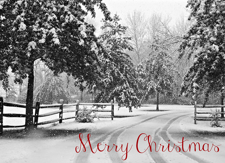 Snowy Tracks Merry Christmas Photograph by Dark Whimsy